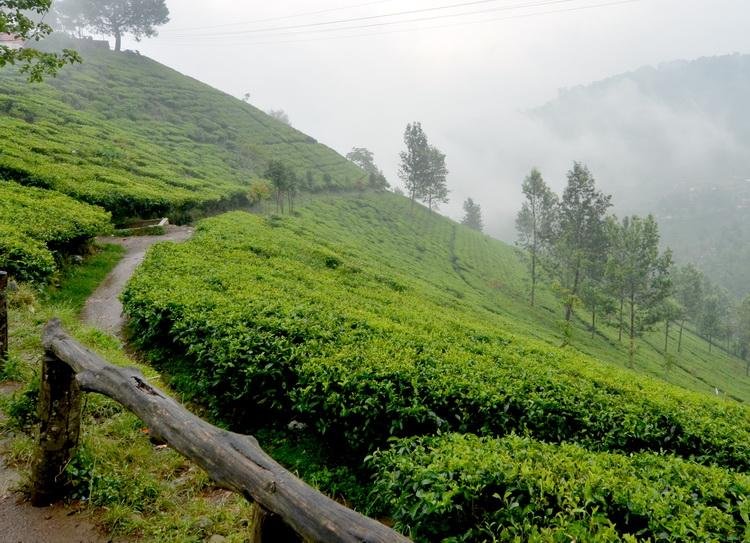 Puncak