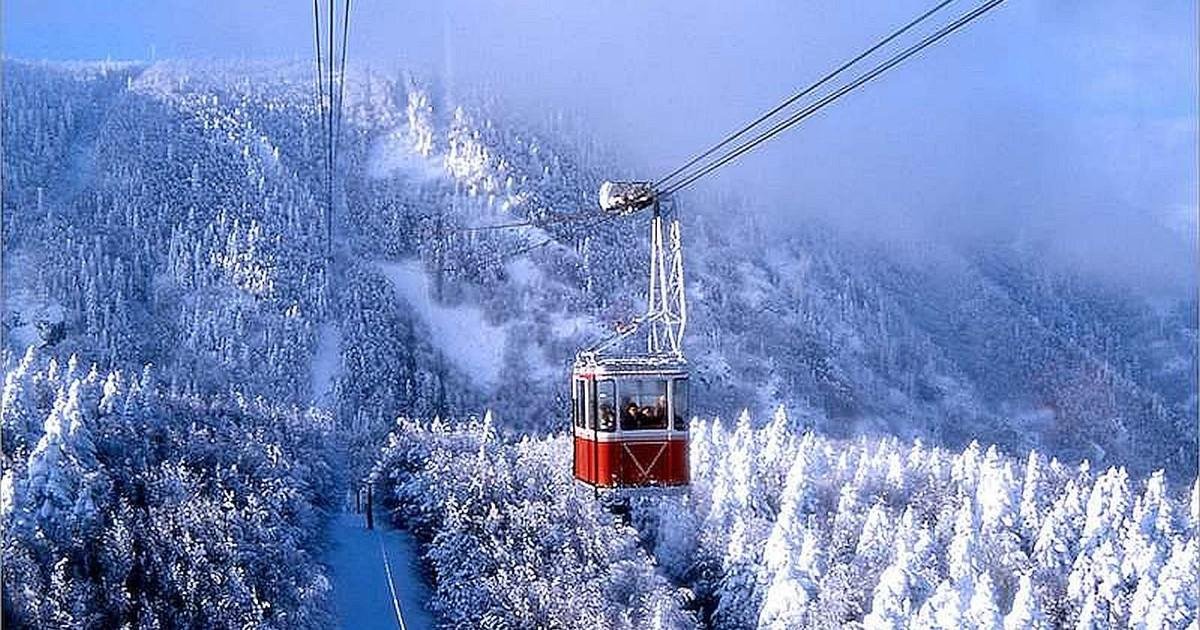 Bursa